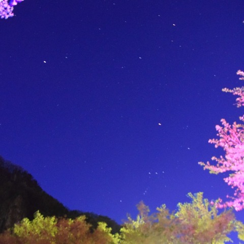 春のナイトパークと沈みゆくオリオン座・火星