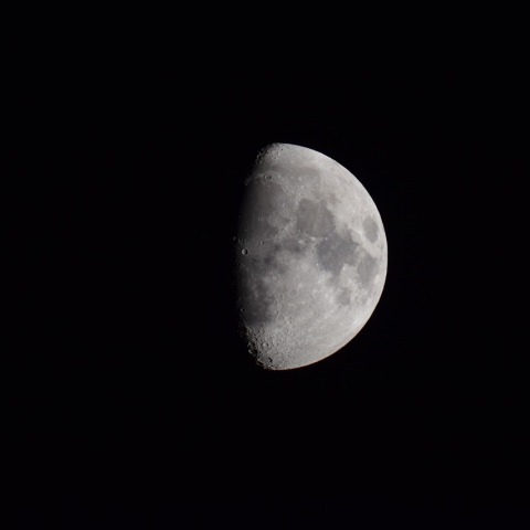 月齢９～コペルニクスの夜明け　2023/9/24