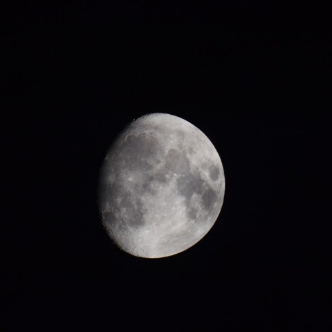 月齢11～アリスタルコスの夜明け　2023/9/26