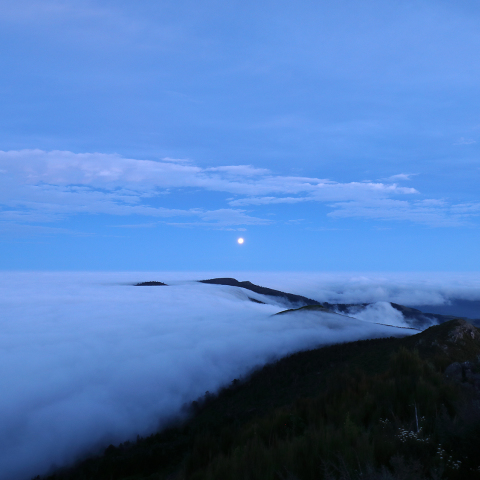 スーパームーンの輝らす街上の雲海
