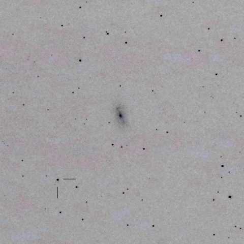 NGC2903と小惑星Flora