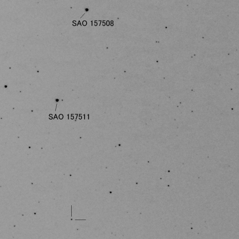 再び 111 Ate に出会いました