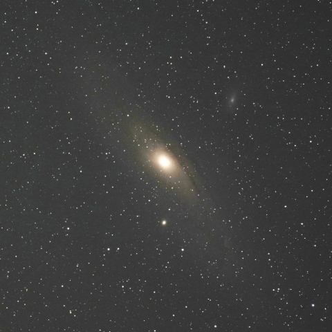 M31