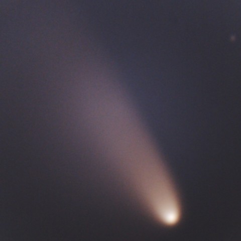 パンスターズ彗星