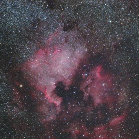 自作望遠鏡による北アメリカ星雲