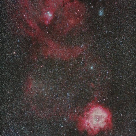 バラ星雲～Sh2-273