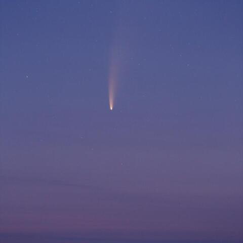 ネオワイズ彗星