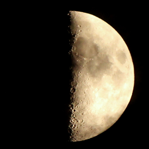 今年最大の上弦