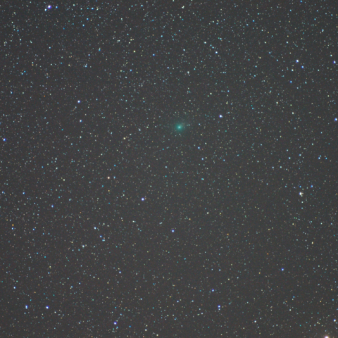 C/2009 K5 マックノート彗星