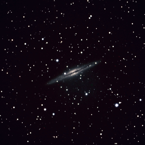 NGC891