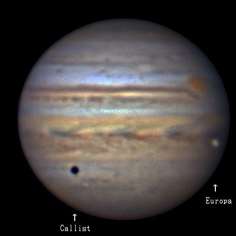 エウロパとカリスト
