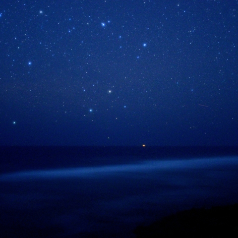 南十字座とケンタウルス座