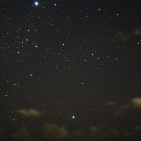 シリウスとカノープスの競演