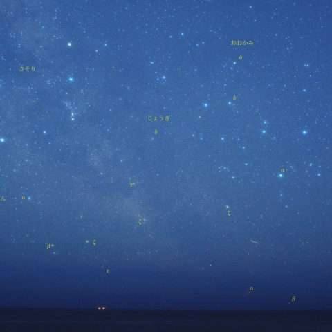 ７月の南天の星座（沖縄本島）