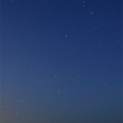 南の空に輝くさそり座