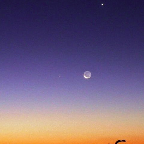 水星に細い月と金星