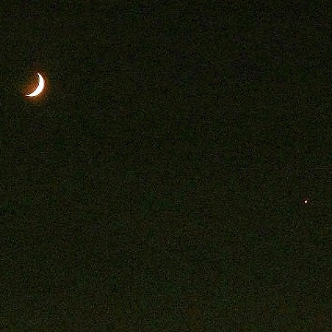 夕空に輝く、月とヴィーナス