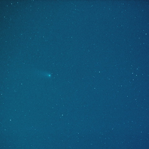 何とか確認パンスターズ