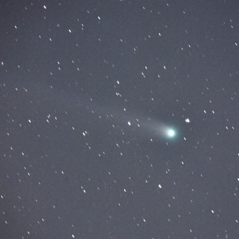 何とか見えたラブジョイ