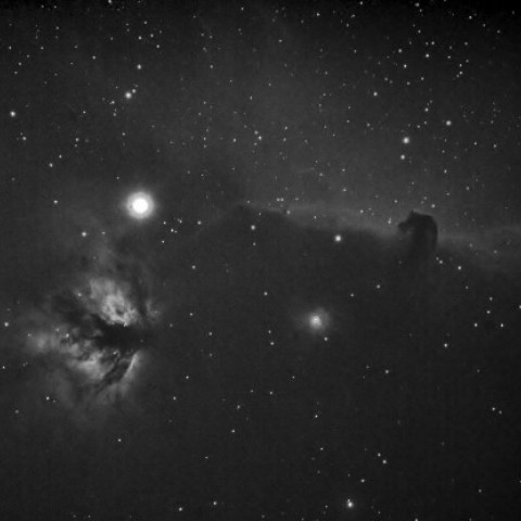 燃える木＆馬頭星雲