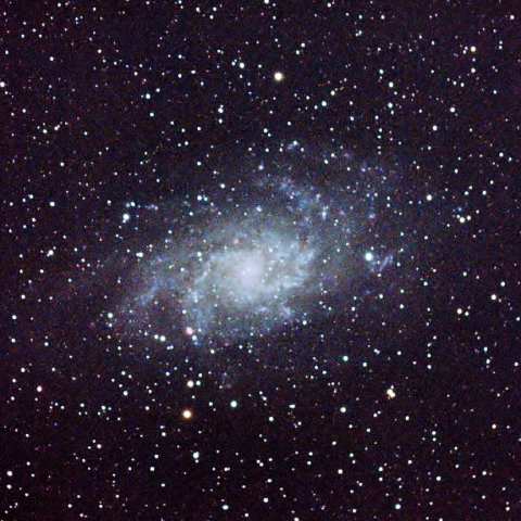 M33