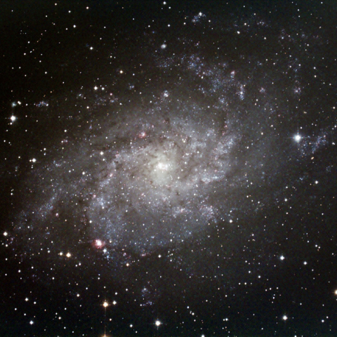 M33（さんかく座銀河）