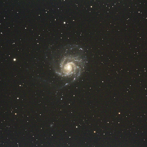 M101