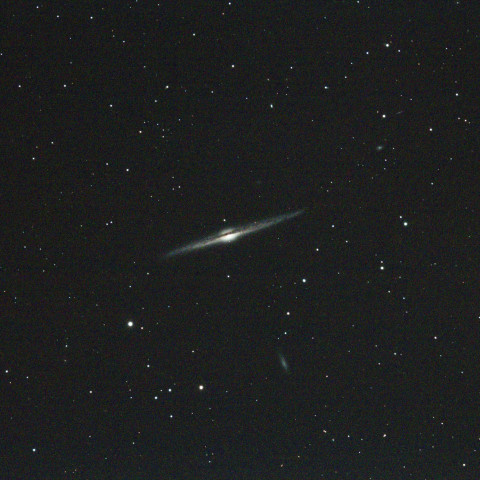 NGC4565