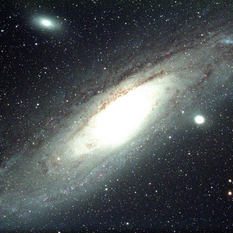 M31