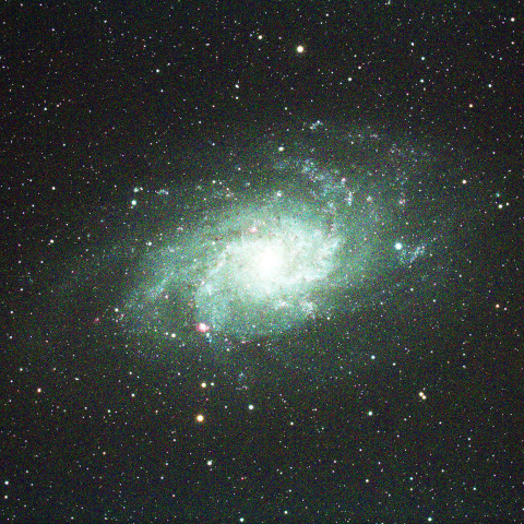 M33