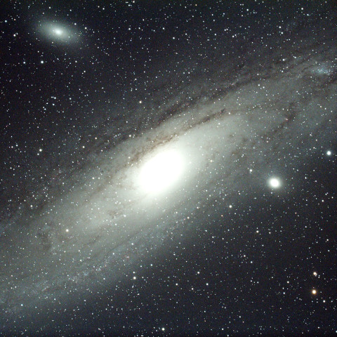 M31