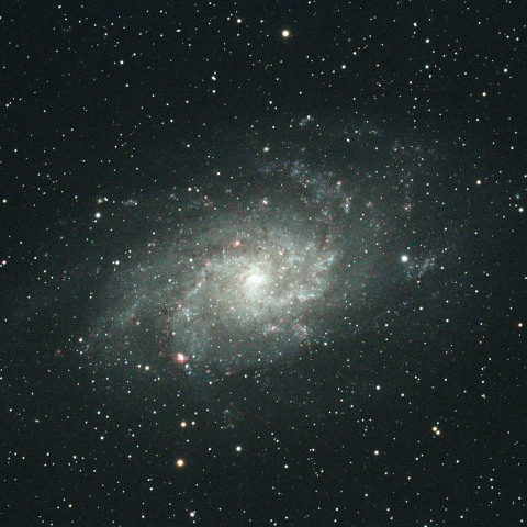 M33