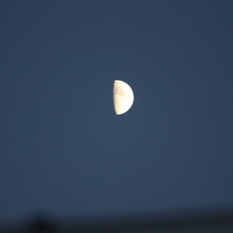 上弦の月