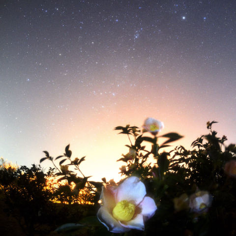星空をながめて…