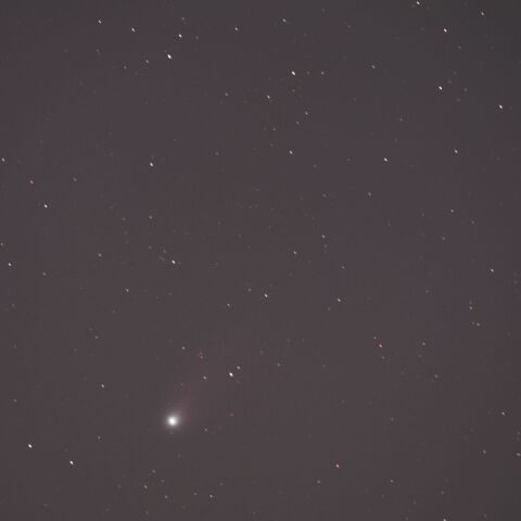 ポン・ブルックス彗星（12P）2024/03/09