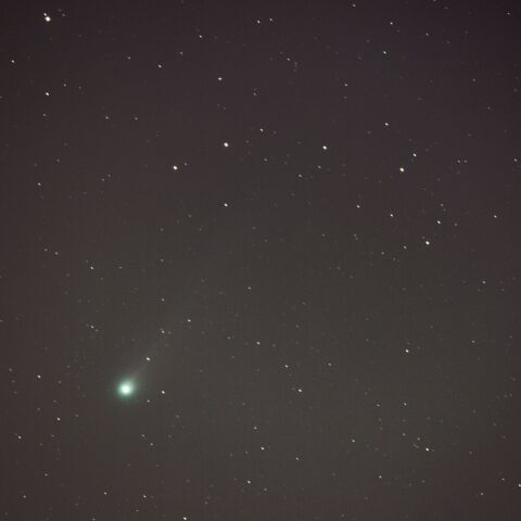 ポン・ブルックス彗星（12P）2024/03/10