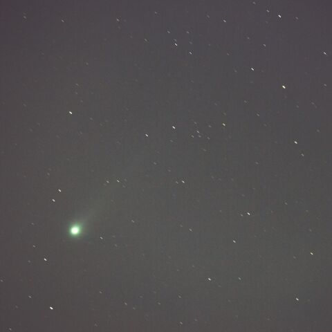 ポン・ブルックス彗星（12P）2024/03/16