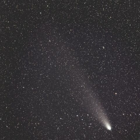 紫金山・アトラス彗星（C/2023 A3）2024/11/4