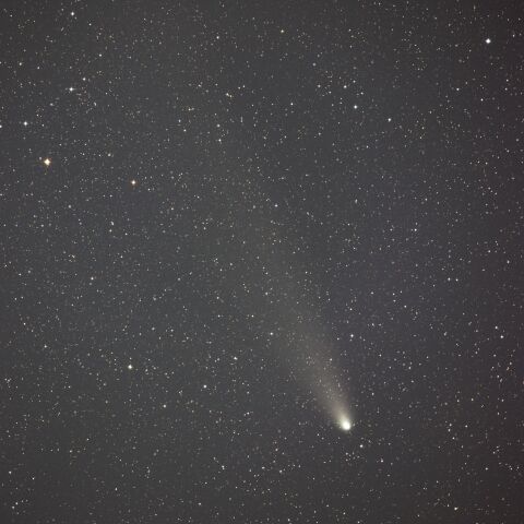 紫金山・アトラス彗星（C/2023 A3）2024/11/7