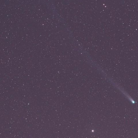 ラブジョイ彗星とM13と流星