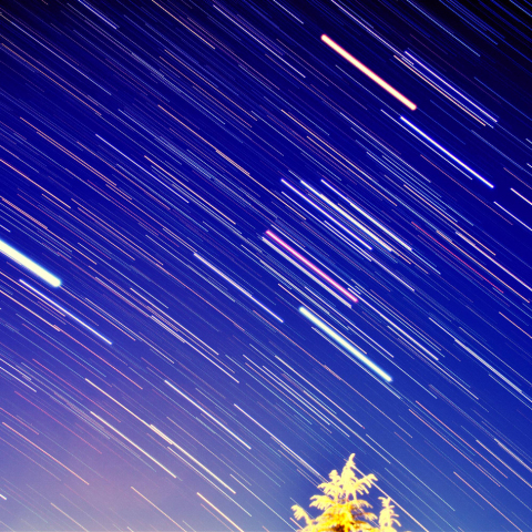 オリオン座西に