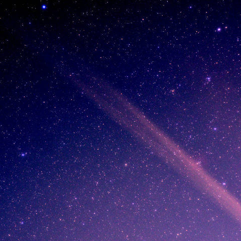 プロキオンとバラ星雲