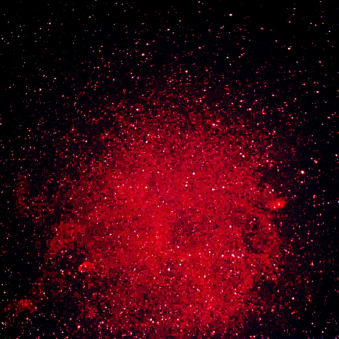 三日月星雲とチューリップ星雲