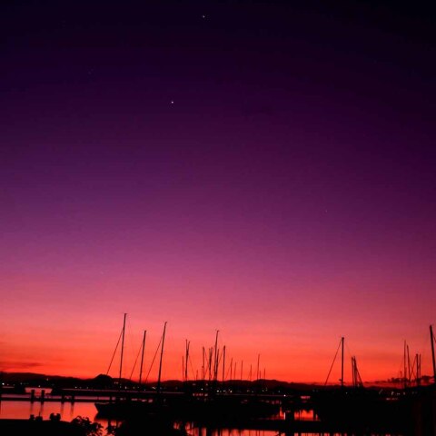 8月20日夜明けの月達