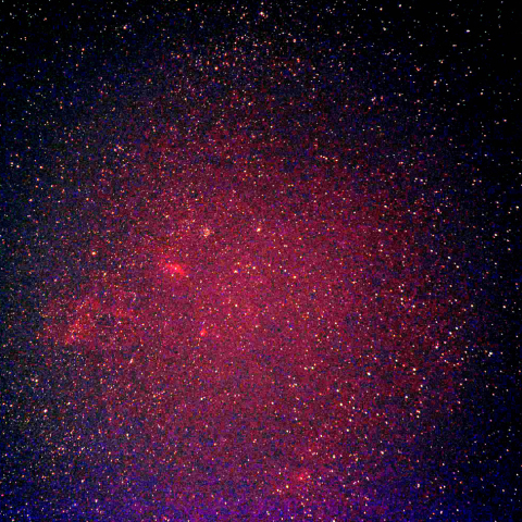 M52,バブル、クワガタ