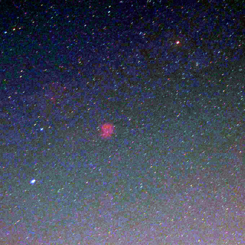 オリオンからばら星雲