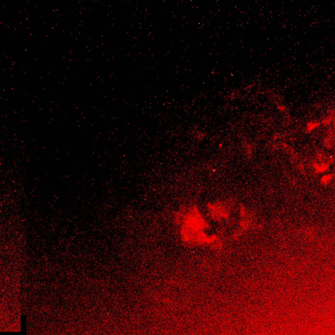 サドルからIC1396パノラマ