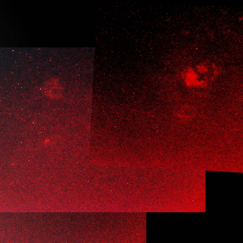 クワガタからサドルパノラマ50mm