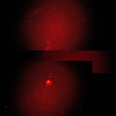 M42と馬頭星雲パノラマ135mm