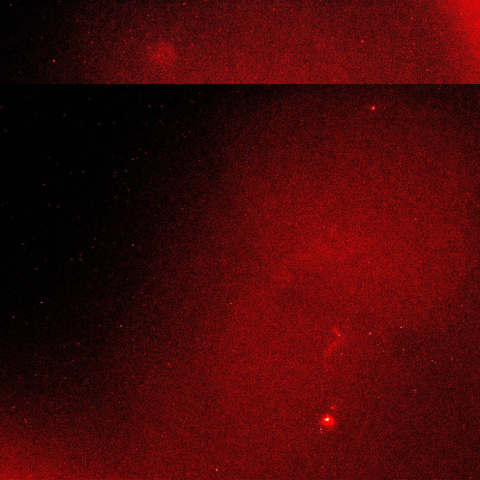 バラ星雲とオリオン座ノラマ50mm